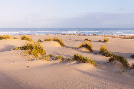 清晨阳光明媚的沙丘和海洋美丽的夏季风景和海洋图片