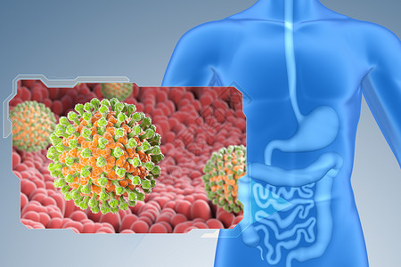 3d人体素材小肠中的罗塔是RNA儿童腹泻病的诱因3D示例小肠中的罗塔背景