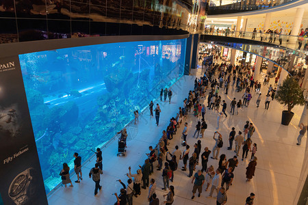 授人以鱼在迪拜市水族馆看鱼的人群这是世界和在迪拜阿拉伯联合酋长国和阿拉伯联合酋长国最大的购物中心或阿联酋内地与动物一起设计背景