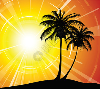 沙滩日落棕榈树图片