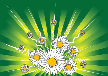 科雷奥斯春季花卉背景marguerites和一些抽象条纹插画