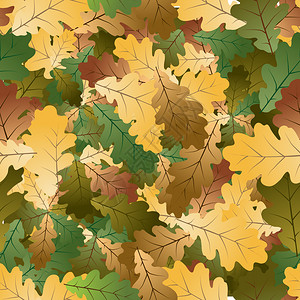 秋色的橡叶纹理无缝模式图片