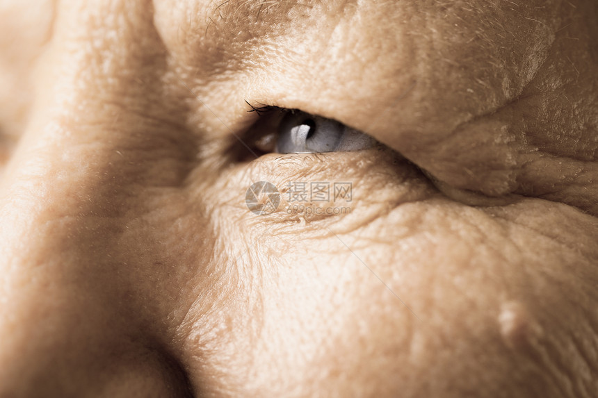 老年养恤金领取者女眼科详细分类图片
