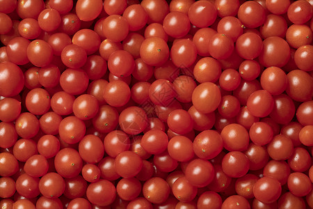 红番茄完全合上图片