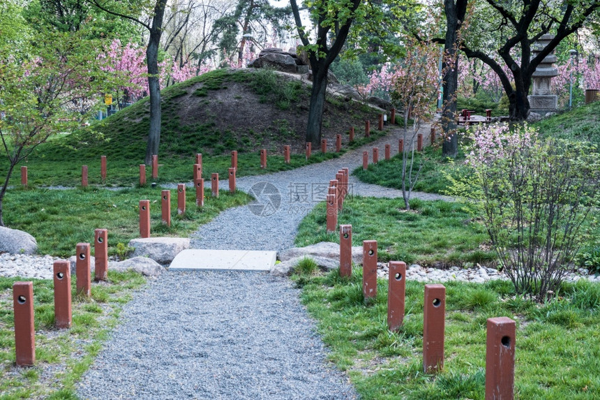 夏天美丽的日本绿色公园图片
