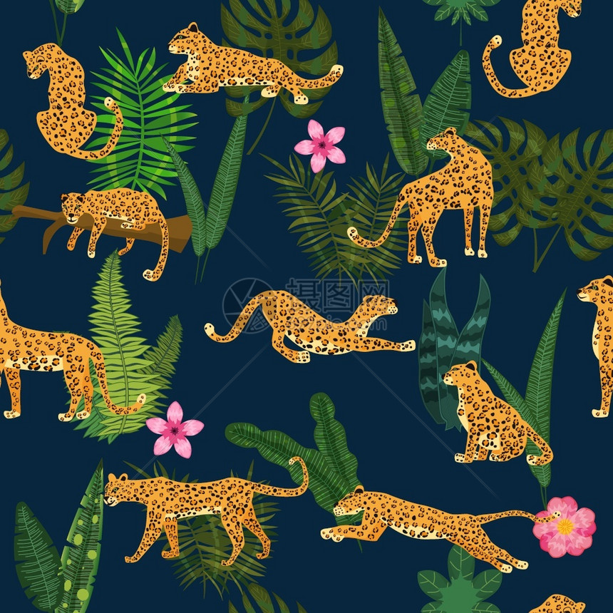 具有热带植物不同姿势的豹子图片