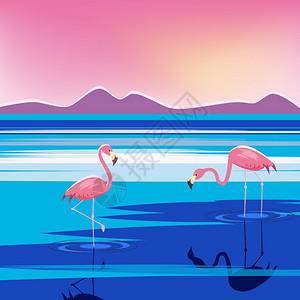 粉红色的日落日落时湖中三个粉红火烈鸟矢量插画插画