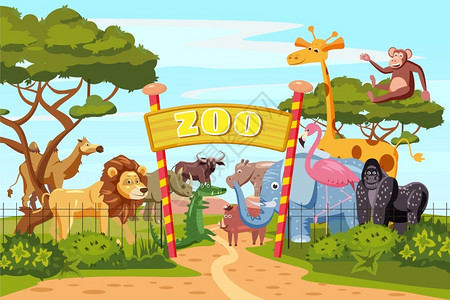 非洲野牛动物园入口卡通动物矢量插画插画