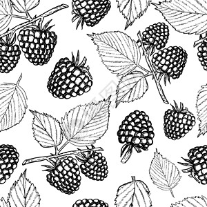 无缝浆果草莓无缝模式黑和白背景叶子用于纺织剪贴布服装设计草莓无缝模式的鲜树果和白背景叶子Raspberry黑莓和白背景的叶子用于纺织服装背景