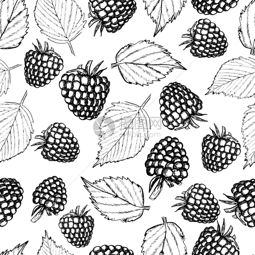 草莓无缝模式黑和白背景叶子用于纺织剪贴布服装设计草莓无缝模式的鲜树果和白背景叶子Raspberry黑莓和白背景的叶子用于纺织服装图片
