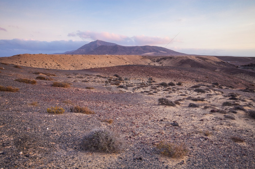 撒哈拉沙漠的日落突尼斯杜兹图片