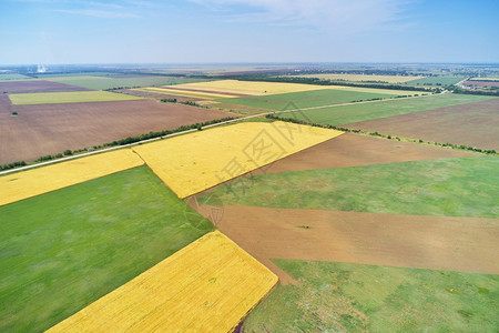 农业草原的空中观景自然构成图片
