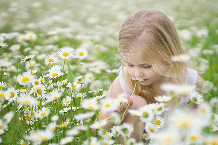 小女孩在草地闻花瓣的香味图片