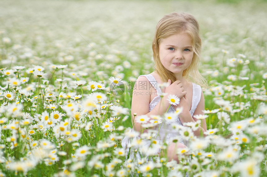 穿着大卡莫米尔草地的可爱小女孩肖像成分图片