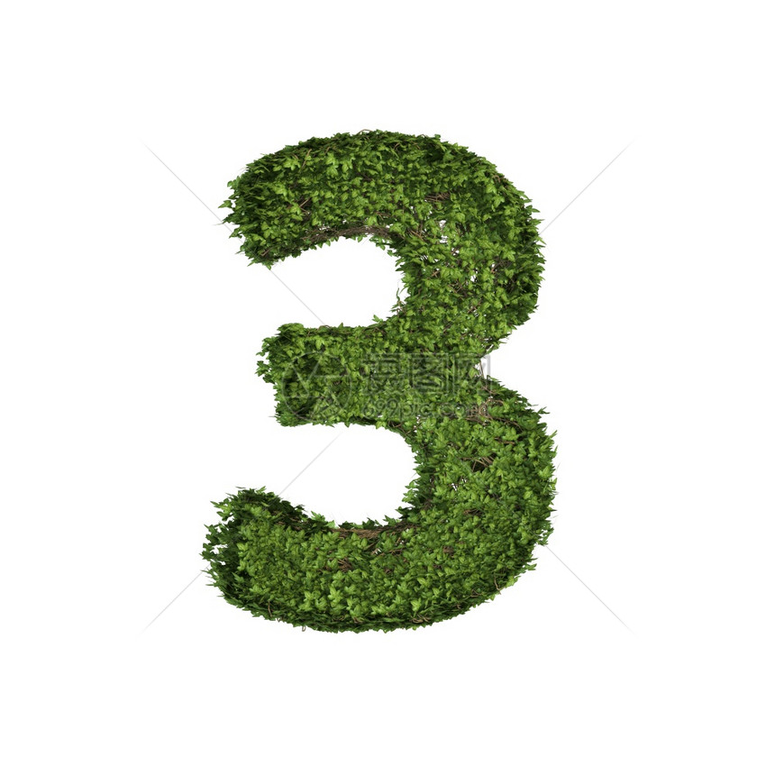 长春藤植物树叶绿色爬行丛和藤由3字母文体符组成与白色自然生长和态环境概念隔离图片