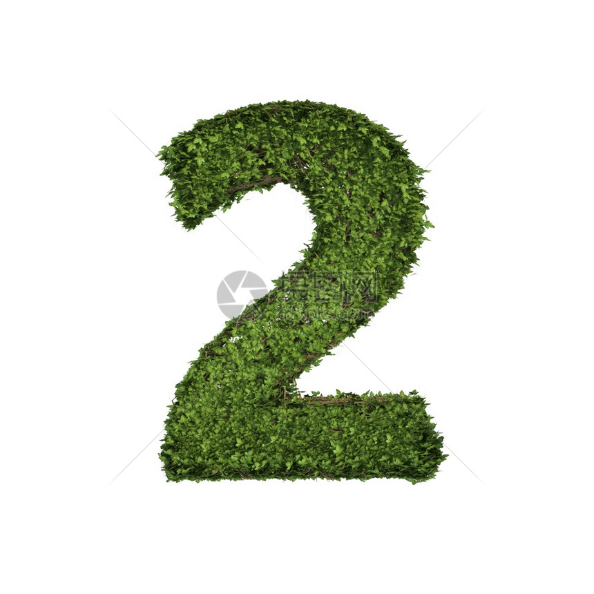 长春藤植物树叶绿色爬行丛和藤由二字母文体符组成在白色自然生长和态环境概念中分离图片