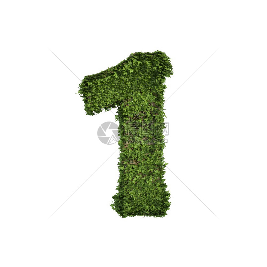 长春藤植物树叶绿色爬行丛和藤组成第1号字母文体符与白色自然生长和态环境概念隔离图片