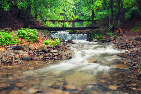横跨一条溪流的木桥在淡绿色夏日森林中穿过一条小河春季背景图片
