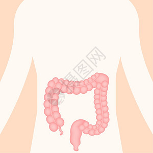 肠道炎症医疗设计科肠胃疾病学便秘图标设计保健病媒存量图解胃肠病学道疾图解口腔便秘标设计病媒存量图解插画