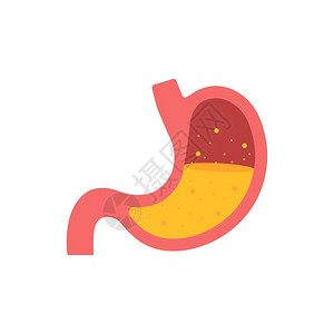 腹部图标口腔器官图标人体内脏器官符号矢量存图例示插画