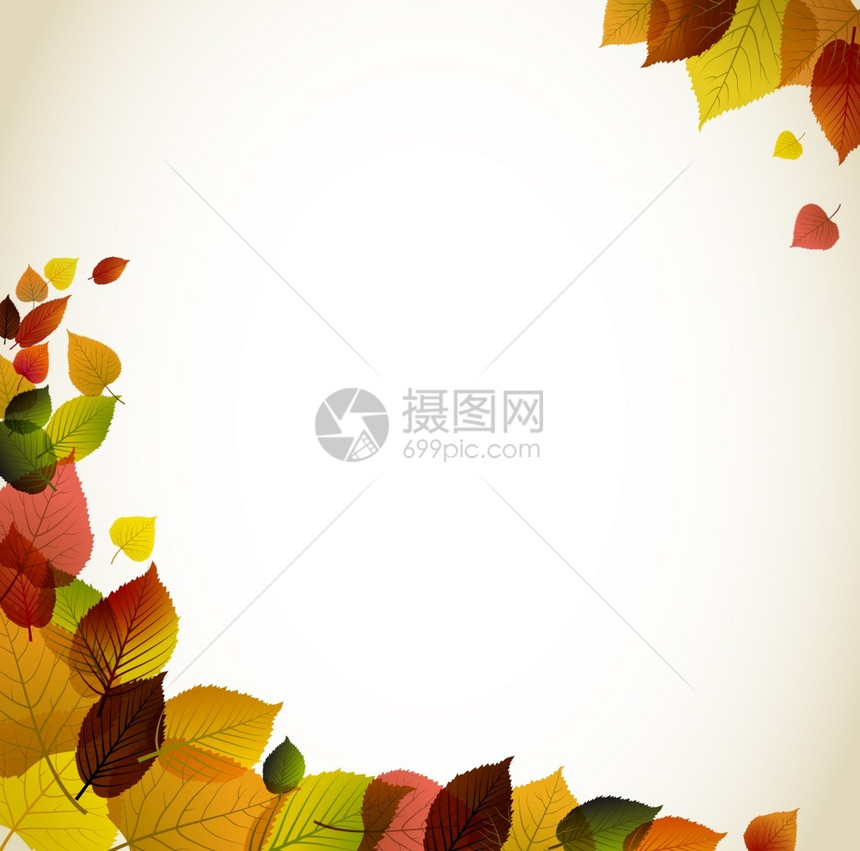 秋季抽象植物背景图片
