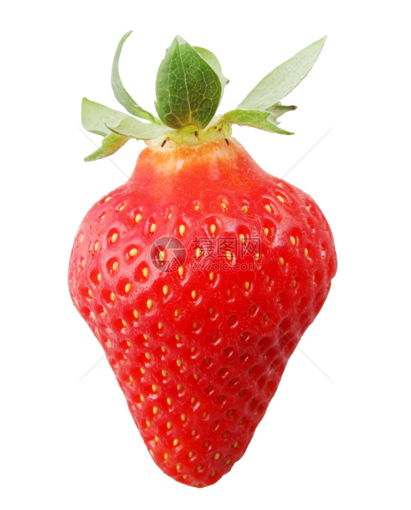 草莓实际上是含有多种品的一组水果fragariagenusFragaria是玫瑰家庭的一部分图片