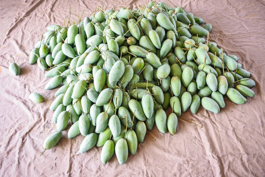 泰国水果市场出售的绿芒果来自树木农业的新鲜原生芒果收获图片