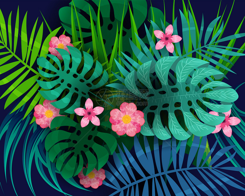 夏季热带暑期树叶外来植物棕榈丛林叶夏季热带树棕榈丛林深背景模板横幅上变化的颜色图片