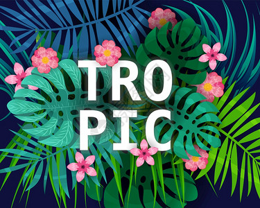 暑期亲子游海报夏季热带暑期树叶外来植物棕榈丛林叶夏季热带树棕榈丛林深背景模板横幅上变化的颜色背景