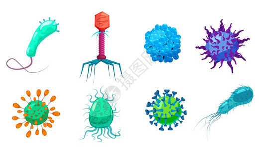 动物双歧杆菌菌细微生物疾菌插画