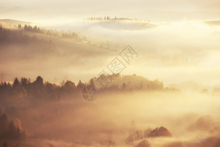 日出山上美丽的雾色风景美好的晨雾秋天山阳光照耀图片