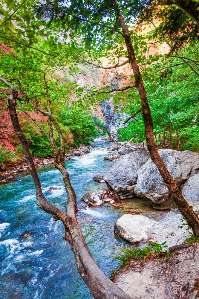 美丽的风景自然森林山和蓝河美丽自然的景色背图片