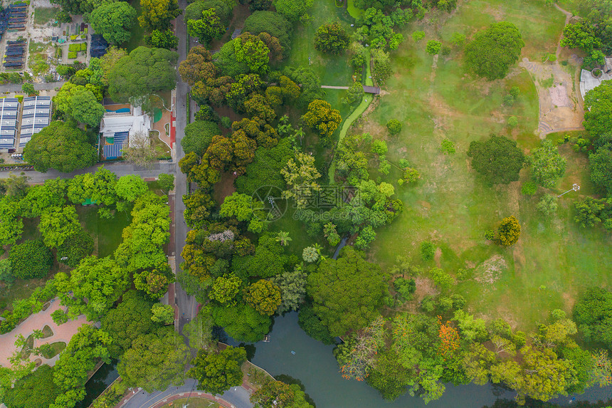 Lumpini公园花绿树的空中顶层景象和反射智能城市绿色生态区泰国曼谷中午环境自然景观背图片