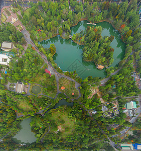 Lumpini公园花绿树的空中顶层景象和反射智能城市绿色生态区泰国曼谷中午环境自然景观背背景图片