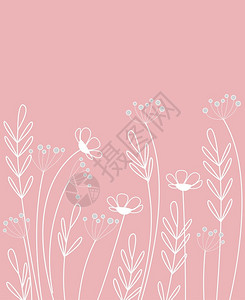 鲜花的矢量插图背景图片