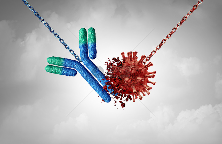 抗体治疗和Immunoglobulin概念是抗体攻击传染细胞和原体3D说明图片