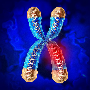 端粒遗传疾病和染色体或DNA损害作为一种科学和生物概念3D制成的受损害基因背景