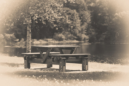 公园的休息场所公园的野餐桌和平由水完美之地和平环绕供户外放松图片