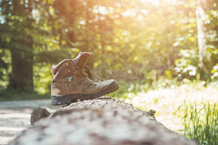树干上的阿尔卑斯山靴子登旅行徒步度假图片