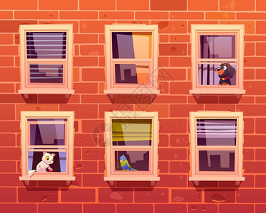 窗户上的鸟窗户中的可爱宠物卡通矢量插画插画