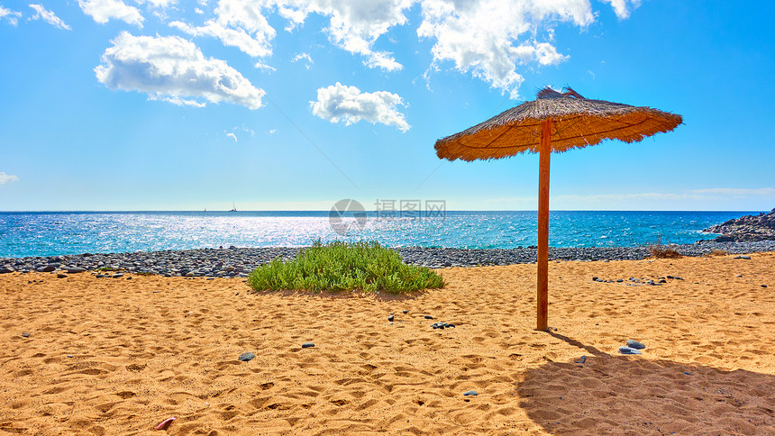 阳光明媚的夏日热带海滩草寄生虫在海边的热带沙滩图片