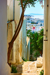阳光明媚的夏日向下到海面的狭小街道希腊Mykonos岛的图片景象图片