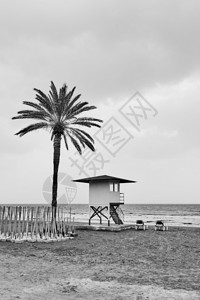 棕榈树海滩和低季边的救生塔黑白摄影图片