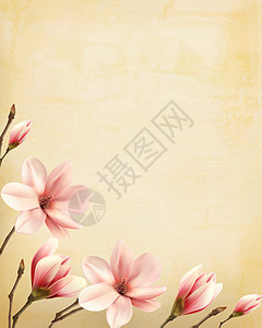 鲜花背景与粉红色木兰花交界矢量背景图片