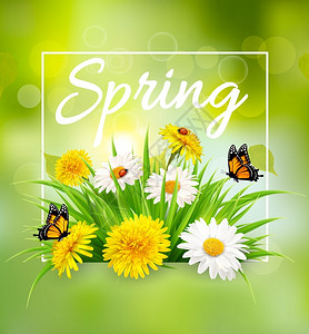 大自然春季有花草和蝴蝶矢量背景图片