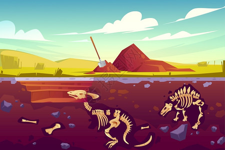 动物骨架恐龙化石挖掘插画