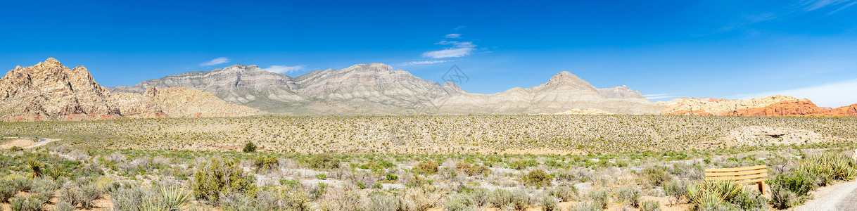 美国内华达州拉斯维加红岩峡谷养护娱乐区荒漠景观全美国标志家公园自然景观旅行和游概念背景图片