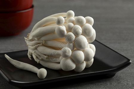 一群新鲜的白芝麻蘑菇紧图片