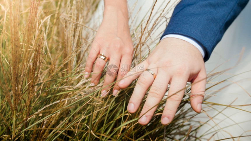 新娘和郎亲手触摸田野草的近照杂仪式是自然的新娘和郎亲手触摸田野草的近照杂仪式是自然的图片