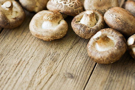 木制桌底芝麻蘑菇上的新图片
